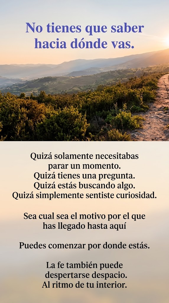 Descripción de la imagen